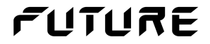 Future Fulfilment